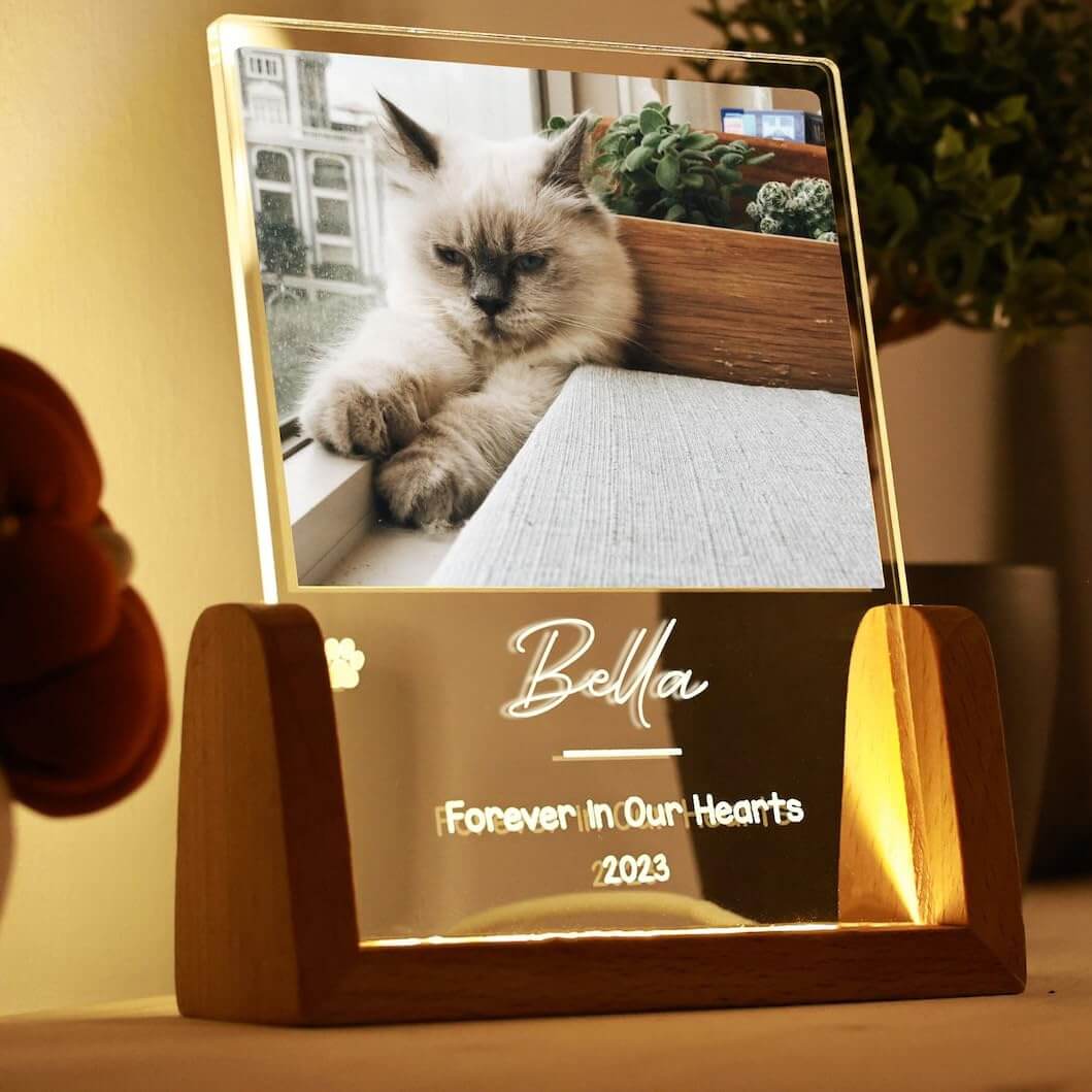 Custom Pet Memorial LED Lamp