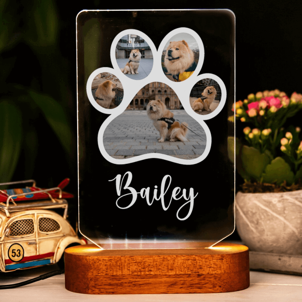 Customized 3D Illusion Dog Photo Lamp With 5 Photos